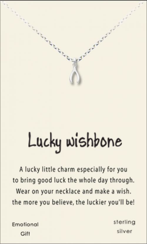lucky Wishbone silver pendant